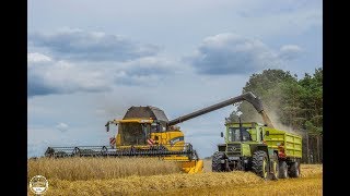 Dreschen 2017  New Holland CX8080  T5105  MBTrac 1500 [upl. by Isleana]