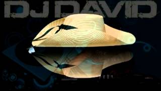 zapateado calentano mixdj davidmp4 [upl. by Astrix]