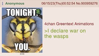 Anon Starts War Against Wasps  4chan Greentext Animations [upl. by Ohploda]