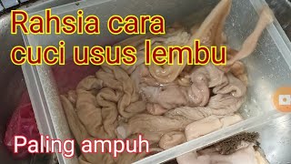 Cara cuci usus paling ampuh [upl. by Zsa]