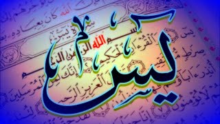 SURAH YASEEN  With Best Voice Tilawat Quran Pak [upl. by Glovsky]