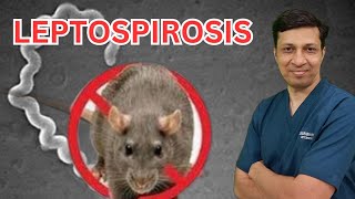 Leptospirosis lecture in hindi Leptospirosis treatment Weils disease in hindi [upl. by Amles]