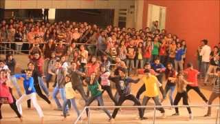 FLASHMOB 2014  VERVE 14 OVERHEAT [upl. by Onaicnop875]