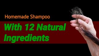 12 Natural Ingredients Shampoo to Stop Hairfall Fastquot [upl. by Perreault]