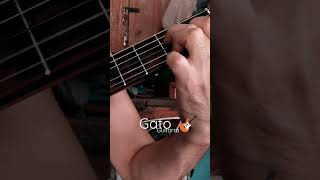 Geronimo Bianqui Piñero Gato Guitarra [upl. by Pozzy790]