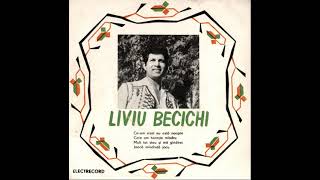 Liviu Becichi  Ceam visat eu astă noapte 🎶 Fonoteca 1979 [upl. by Jazmin992]