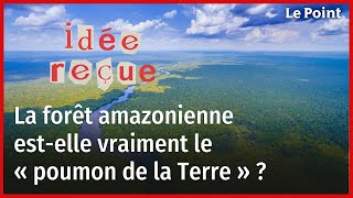 La forêt amazonienne estelle vraiment le « poumon de la Terre » [upl. by Bissell]