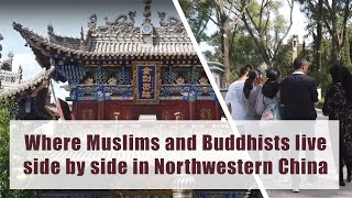 Experiencing a UNIQUE Blend of Islamic and Buddhist Cultures in China  MustSee Xining Adventure [upl. by Redmund]