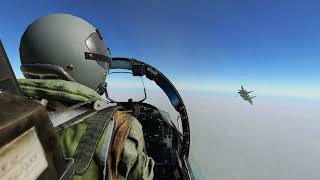 DCS F15E Chillout [upl. by Nathanson]