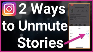 2 Ways To Unmute Someones Story On Instagram [upl. by Yenot671]