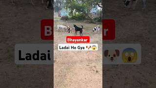 Dog Barking  Dog Barking Sound  Dog 🐕 Barking Loud Sound Effect  shorts dogbark dogbarking [upl. by Analise]