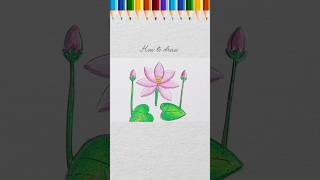 Waterlily drawing Shaplaful drawing art shorts [upl. by Hametaf638]