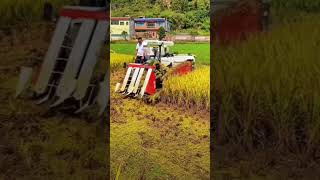 Kisansafarvideo dagar katig masin [upl. by Lorine]