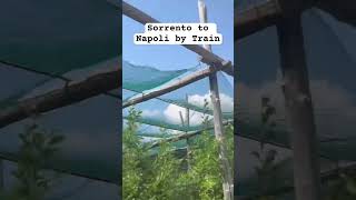 Sorrento to Napoli by traindenmark travel automobile denmarkvlog italy napoli funny memes [upl. by Araec]