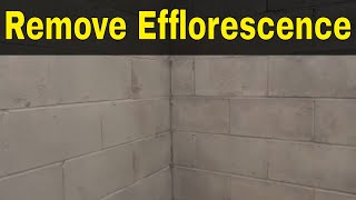 How To Remove Efflorescence EasilyFull Tutorial [upl. by Redfield669]