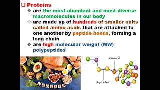 2nd level Education Chemistry Biochemistry CHE236 lecture no 3 2 [upl. by Kcirddet]