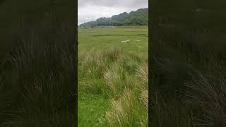 Mystical Places of Ireland  Killadangan Stone Circle [upl. by Aenaj484]