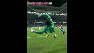 Impossible Goalkeeper Saves [upl. by Gnaig331]