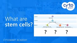 What are stem cells  CytoSMART Academy [upl. by Aridatha]