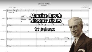 Maurice RavelOiseaux tristes Orchestra 오케스트라 편곡 [upl. by Ambros]