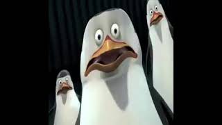 Los pingüinos de madagascar4 [upl. by Rior]