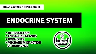 Endocrine System  Anatomy amp Physiology  Mechanism Of Action Of Hormones  B Pharma 2nd Semester [upl. by Luann]