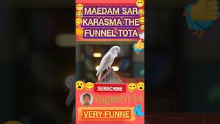 😎Madam sar😎 Karesma😁😋😂😁 the funne tota🐦🐥🕊 comedy video shorts [upl. by Idalina124]