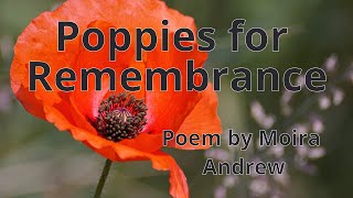 Poppies for Remembrance  Poem by Moira Andrew  Mind Niggles [upl. by Killigrew981]