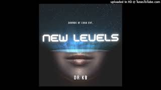 Dr Kb  New Levels Original Mix [upl. by Yssep25]