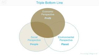 Triple Bottom Line Accounting [upl. by Enecnarf]