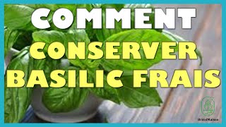 Comment conserver basilic frais [upl. by Doomham195]