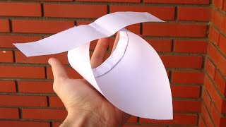 Cómo hacer un Avión de Papel en forma de pájaro [upl. by Ettelliw]