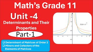 1 Maths Grade 11 Unit 4 Determinant Part 1 Determinants of Matrices of Size 2 Minors and Cofactor [upl. by Cuttler]