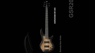 Ibanez Bass Lineup 2024 SR Gio basicallybassguitar ibanez ibanezbass [upl. by Aidin11]