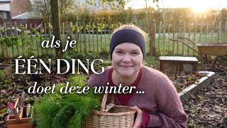 De moestuin winterklaar maken  wat de winter me leert  TUINDAGBOEK 12 [upl. by Hayley]