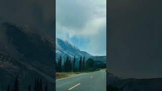 📍⛰️Mt Rainier WA music youtubeshorts travel fall love [upl. by Greg]