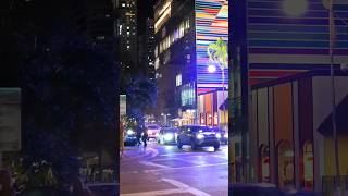 Brickell travel earthparadise brickelllifestyle wow viralvideo shopping luxury amazing [upl. by Gnouh]