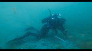 Diving on the pirate ship Whydah [upl. by Ysabel]