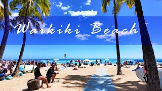 【4K】𝐖𝐀𝐋𝐊 🇺🇸 Another Beautiful Day in Waikiki Beach [upl. by Aicina]