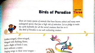 Birds Of Paradise Poem In Hindi  By Christina Rossetti  Ratnasagar English  Class 6 [upl. by Becker59]