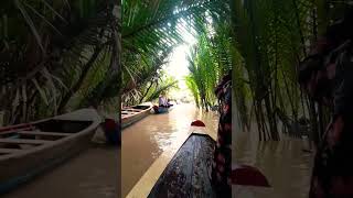 MEKONG RIVER DELTA  best place in Vietnam  Vietnam Tour nature vietnamtourism vietnaminsider [upl. by Attenaz]