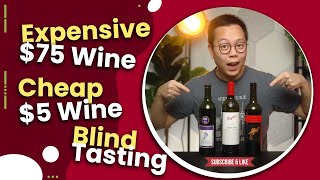 5 Cheap vs 75 Expensive Wine Barefoot Yellow Tail Penfolds Blind Tasting  Wine Verdict [upl. by Nanor775]