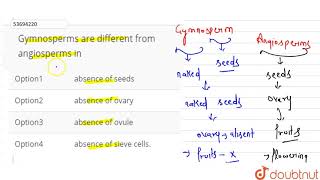 Gymnosperms are different from angiosperms in [upl. by Ellecrag]