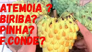 ATEMÓIA  BIRIBÁ  PINHA  FRUTA DO CONDE  ATA  CHERIMOIA  CONDESSA COMO VC CONHECE ESSA FRUTA [upl. by Resaec]