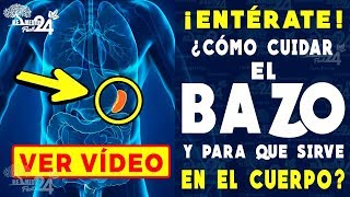 ¿Cómo Cuidar De El Bazo Naturalmente  ¿Para Qué Sirve El Bazo En Nuestro Cuerpo [upl. by Eniwtna]