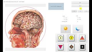 Biophilia Tracker video about emotion Matrix [upl. by Isyak]