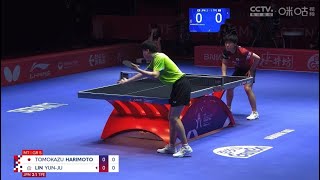 Tomokazu Harimoto JPN VS Lin YunJu TPE 2024 ITTF Team Table Tennis Championships [upl. by Ransell]