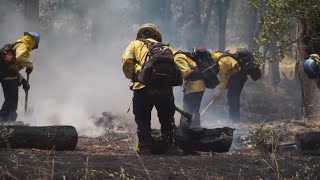 California Wildfire Update Sites Fire Post Fire updates [upl. by Anoek]