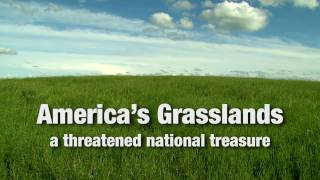 Americas Grasslands A Threatened National Treasure [upl. by Whyte]