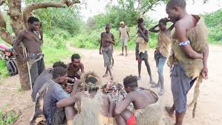 COME SEE HOW THEY ENJOY BUSHPIG MEAT HADZABE TRIBE HUNTERS [upl. by Meggie91]